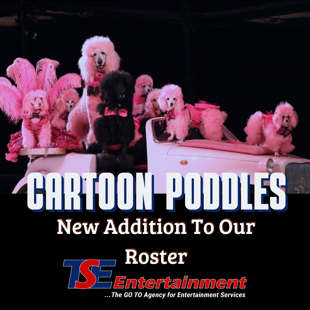 TSEliveevents's tweet photo. We are happy to have a new addition to our roster, Cartoon Poodles, America's Favorite Poodle Show! Find more information on this act at this link: https://t.co/FTQJGdUEhh https://t.co/nq38k85s01