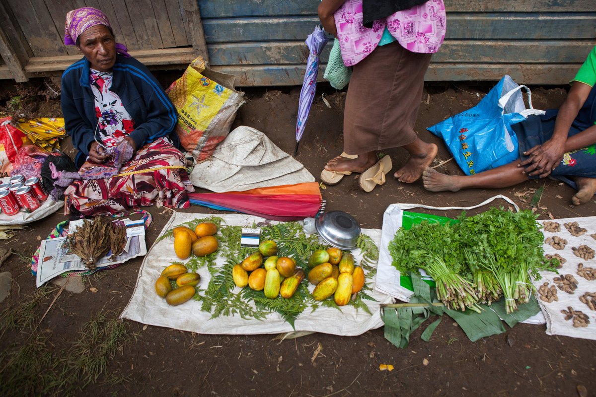 ICRC_PNG's tweet photo. In the Southern Highlands Province the majority of communities are reliant on food crops for income &amp; survival. 

When conflict breaks out, women are prevented from tending crops, depriving them &amp; their families of food &amp; livelihood. 

📍 Tukupangi
📸 Jessie Boylan/ICRC, 2016 https://t.co/BNAgWWdLxy