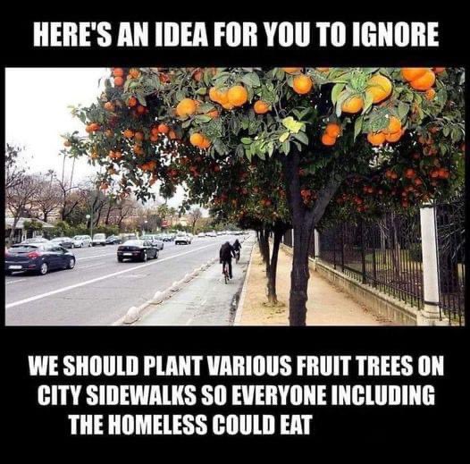 EarthDemeter's tweet photo. We need more of this! ๐
#sidewalkfruittrees #localfood #innovativeideas #foodforall #feedthesoilharvestthefuture #demeterearth https://t.co/1U6mPDYX1l
