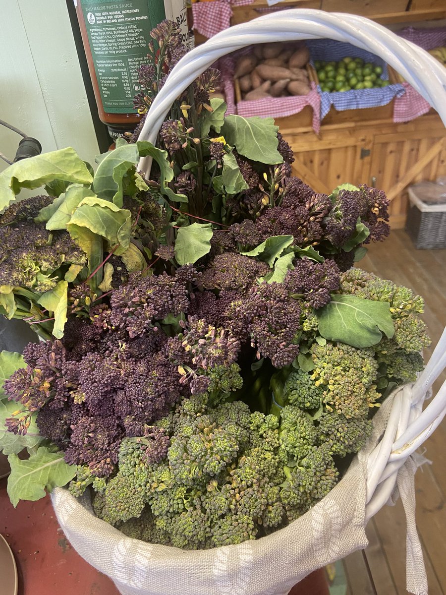 Ballyholey produce coming thick and fast these days! #donegalfood