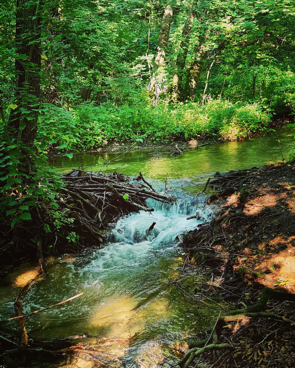 TothAttila77's tweet photo. Szalajka...
#patak #Hungary #szilvásvárad #mypic #travelling #tourism #trip #tourist #travel #august https://t.co/5FnYLHHnAK