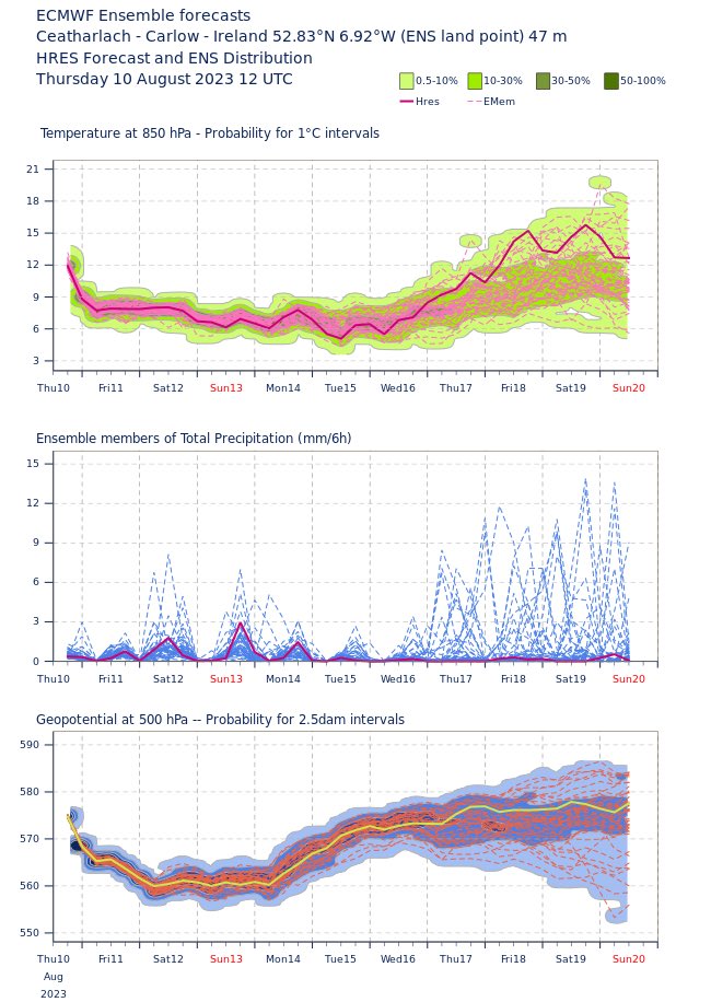 Carlow Weather tweet media