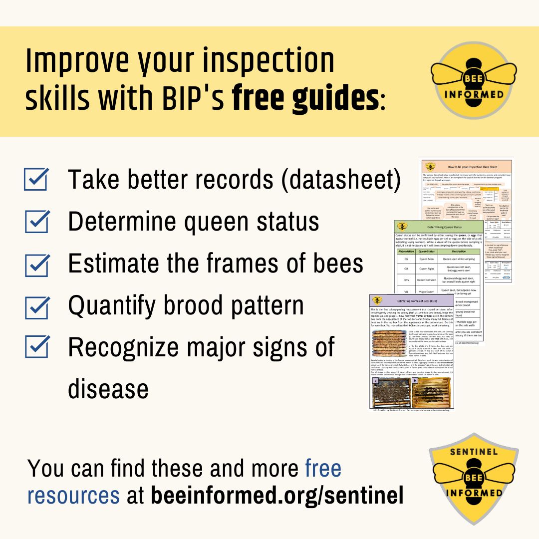 BIP offers lots of free resources, have you checked them out lately? To learn more, visit: beeinformed.org/citizen-scienc…
#beeinformedparntership #beekeeping
