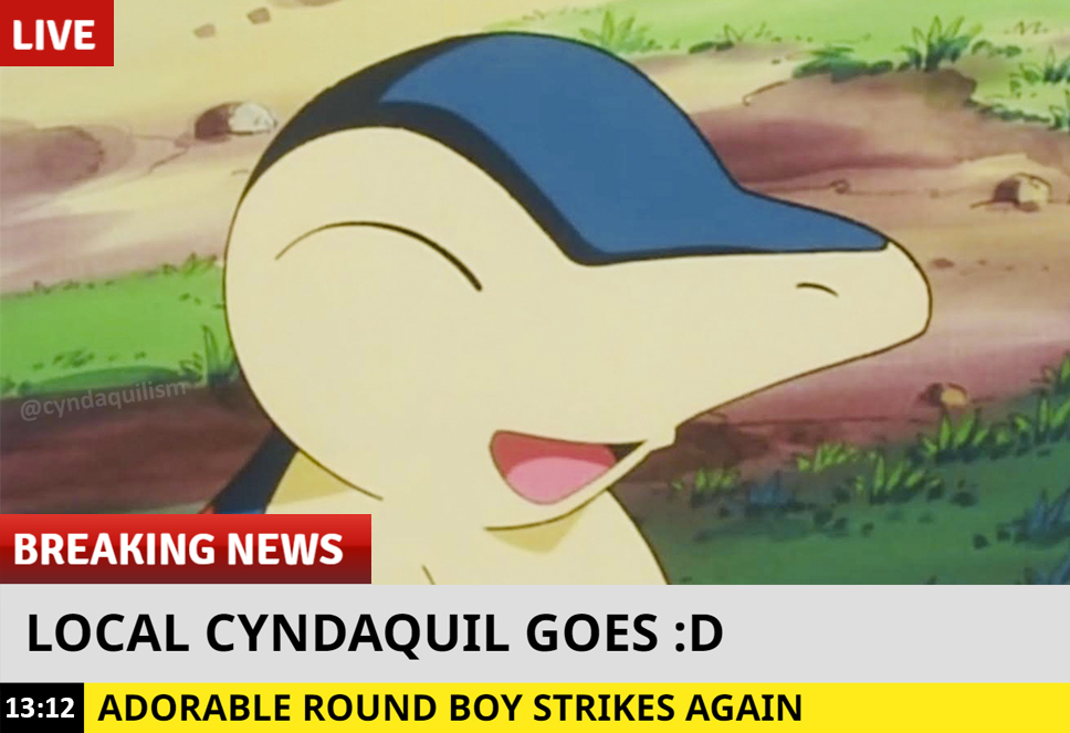 Cyndaquilism's tweet photo. https://t.co/1eWN0WIr7P