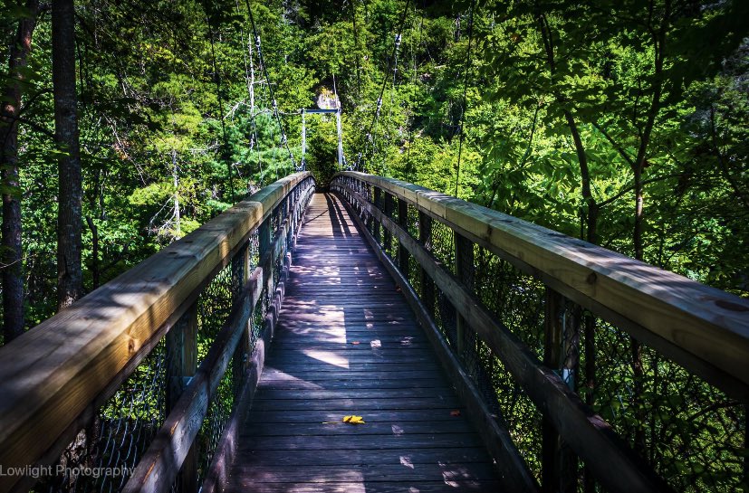 DavidCokeley3's tweet photo. Crossing over a gorge……………. #swingingbridge https://t.co/c84sQZd7Ny