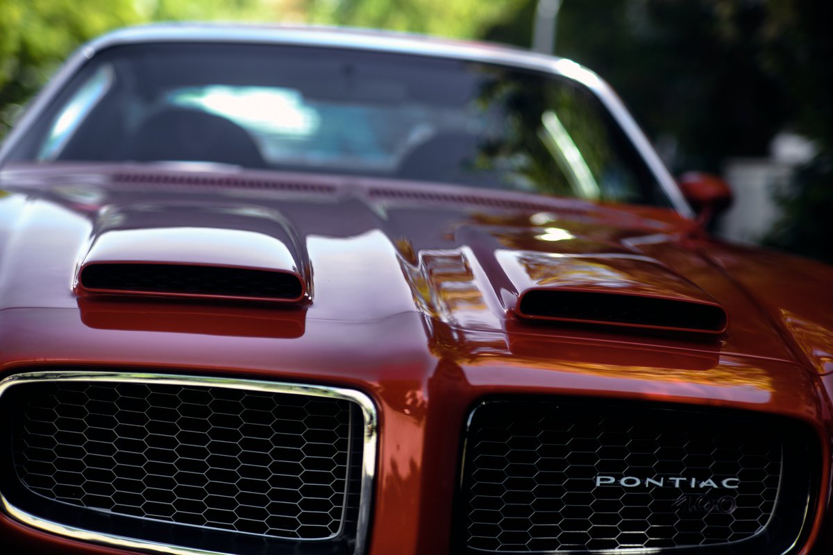 micha's tweet image. Saw a beautiful #PontiacFirebird and took some photos.