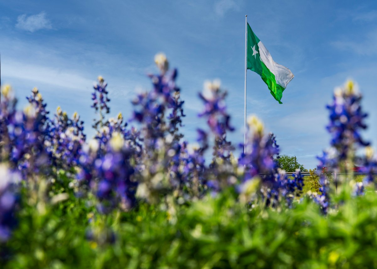 University of North Texas tweet media
