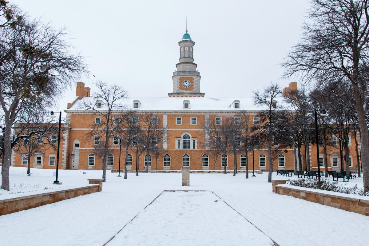University of North Texas tweet media