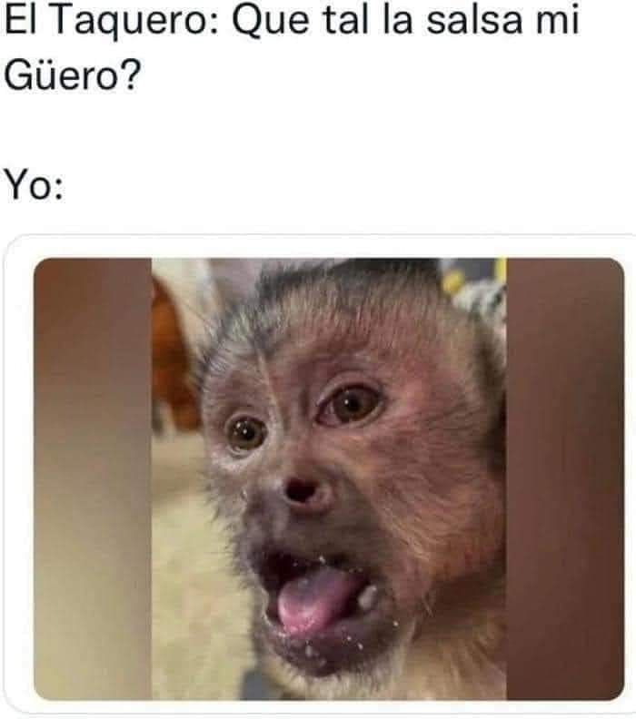 ChorizoCriticon's tweet photo. Hasta se me salió el moco https://t.co/KVLgcrxrfR