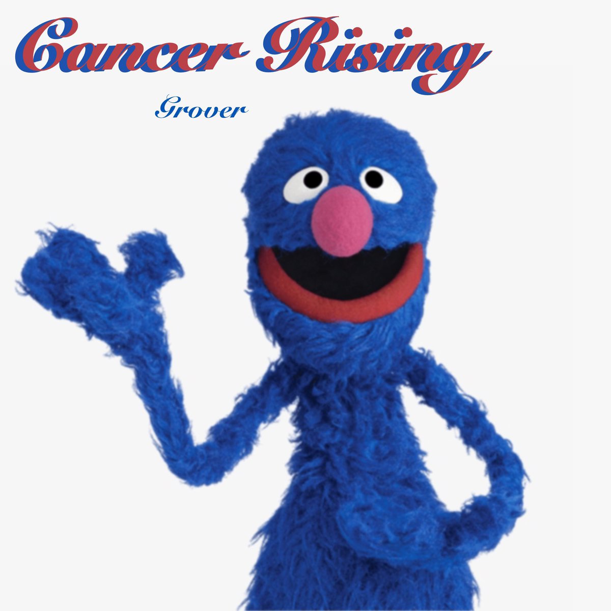 Susan Waycik tweet media