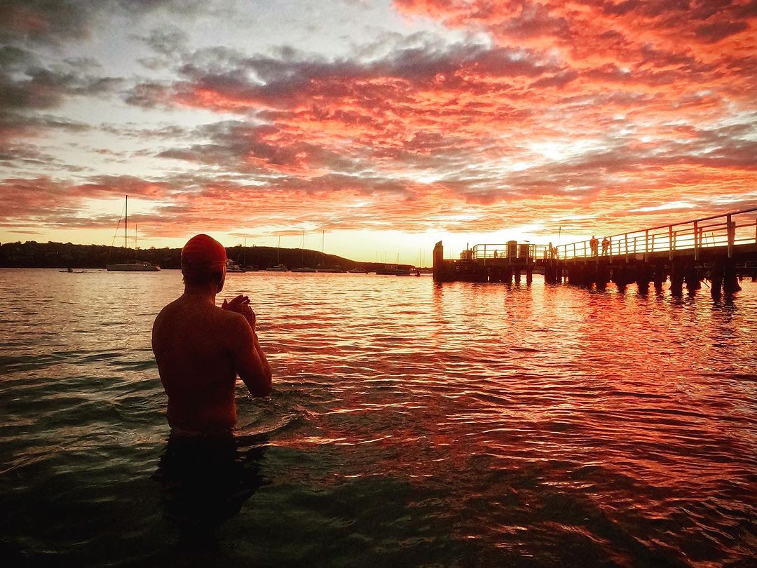 Mosman Council tweet media