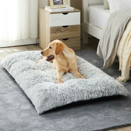 BestDealsCoNz's tweet image. Washable Cosy Fluffy Plush Dog Bed
Buy Now &amp;gt;&amp;gt;&amp;gt; tinyurl.com/y7wwm8uf
#dogbed #petbed #dogmat #petmat