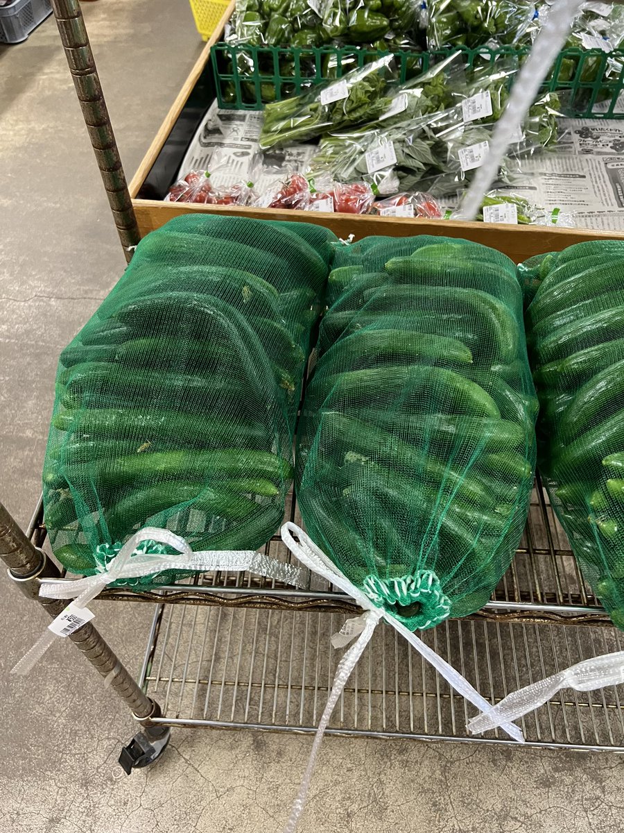 mako_ryoeight's tweet photo. 実家に帰省中¨̮♡︎
実家近くの産直にて↓
・ネットの大量きゅうり1袋500円
・袋のきゅうり（10本は入ってた）130円
・大袋ピーマン（大きめピーマン15個くらい入ってた）200円

田舎って最高♡♡♡ https://t.co/xRfIBG81IU