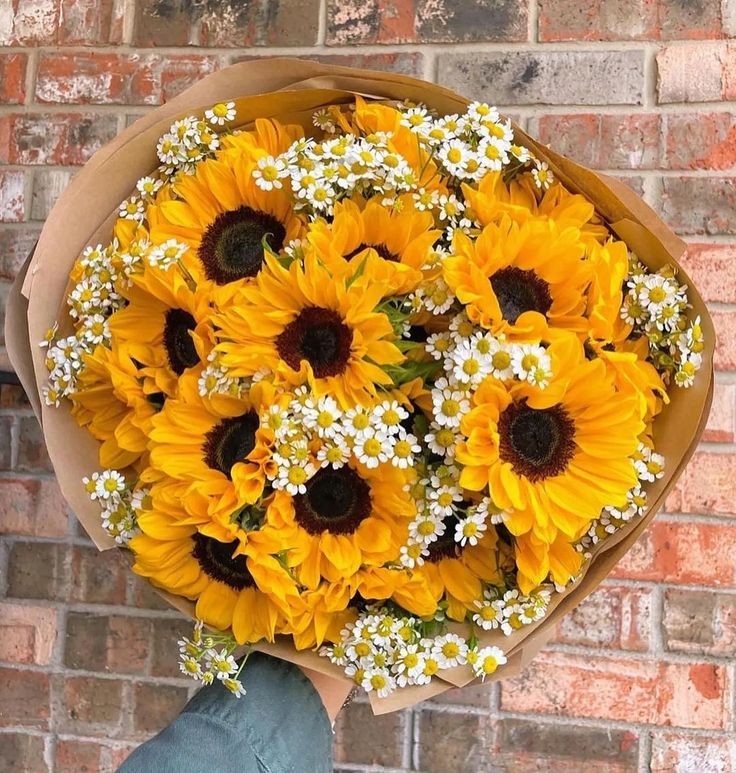 sunflowerchives tweet picture