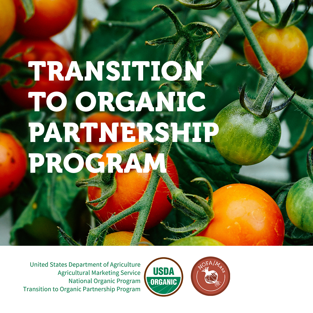 Becoming certified organic should be easy! Pair up with a farmer who knows the ropes, and get extra assistance including technical assistance and free workshops. This is a free program worth taking advantage of! 
paorganic.org/topp/