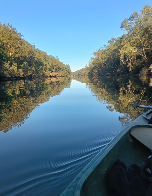 Rose Bay SC tweet media