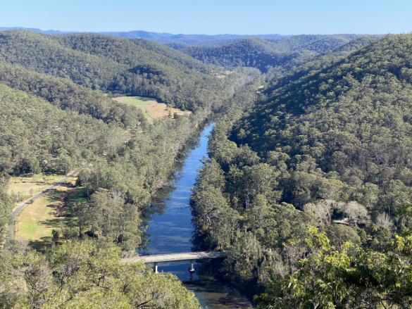 Rose Bay SC tweet media