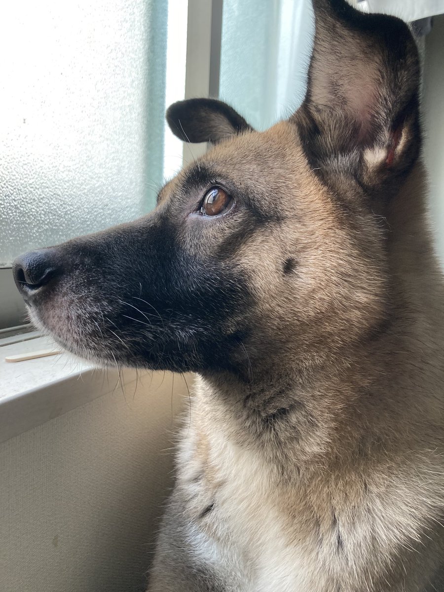 「イイイイイ蜘蛛だあ😣」って言ったらカズちゃんが蜘蛛の動向を見張ってくれてるイケメン