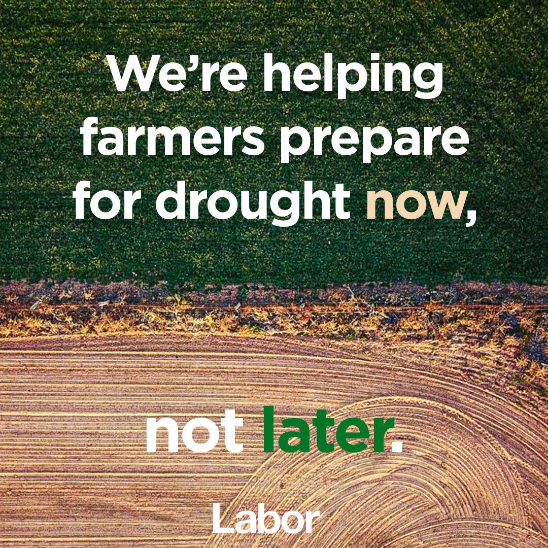 Senator Murray Watt tweet media