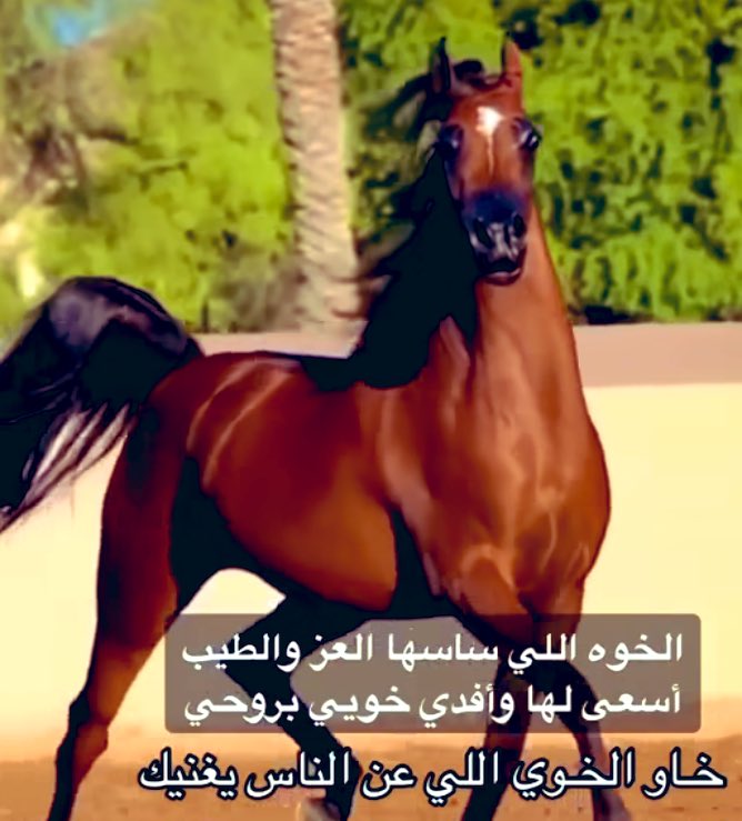اخـــــوكے يابـــــدر (@ahmad42994) on Twitter photo 