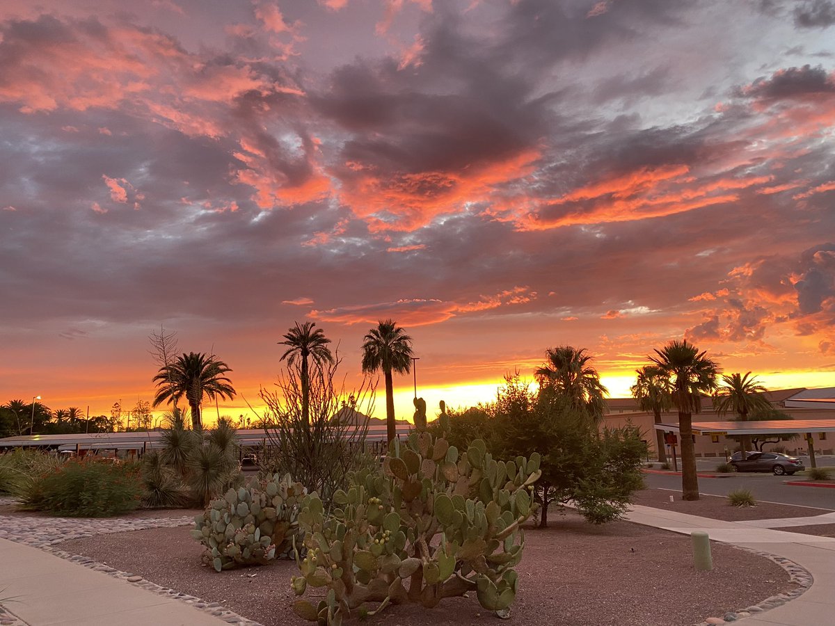 NataliaSB1992's tweet photo. Walking out of the hospital to this view
Tucson and it’s mesmerizing sunsets 🫶🏼✨ https://t.co/MzyEqEjFRK