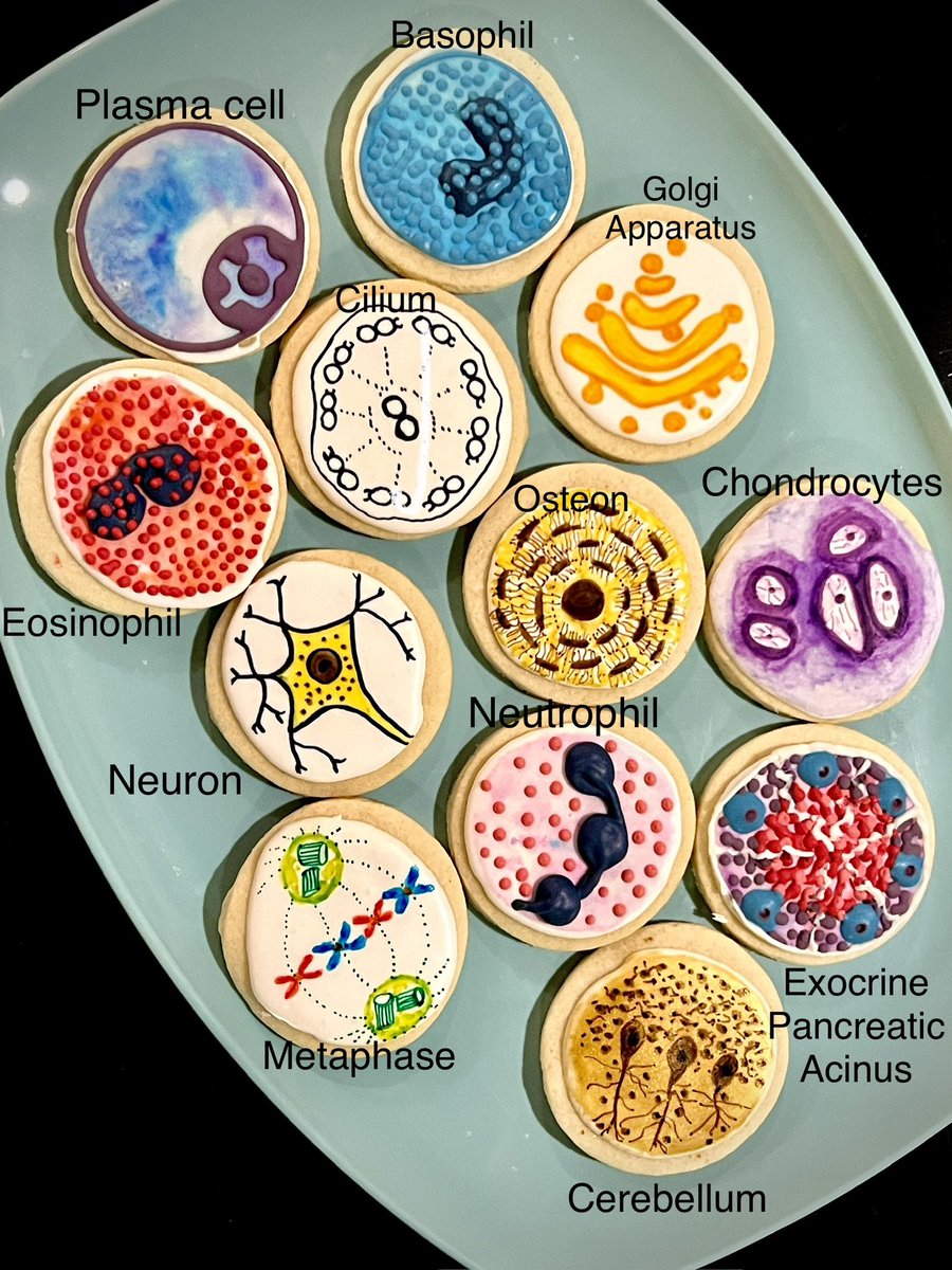 Natalie Langley tweet media