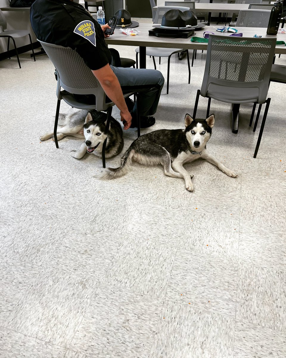 Thanks to @IndStatePolice who helped locate the owners of this mischievous pair who found their way into the #Indianastatefair ! 🐕 🚨