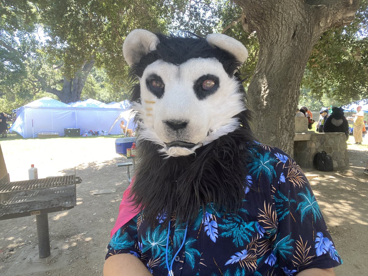 MyrishiLionFluf's tweet photo. FURBQ @SoCalFurBQ. Was my first time at this event. Was pretty cool. Brought my plush gang with me. Got to see friends. Uploading videos and photos to share. ^^ let’s get started! 
#furries #furryfandom #FursuitEveryday #plushie https://t.co/TkHgRXYsl6