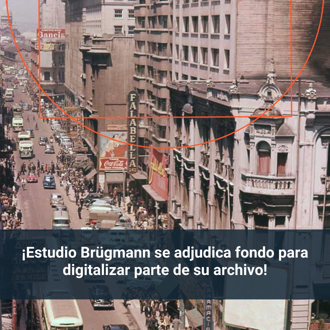 Estudio Brügmann tweet media