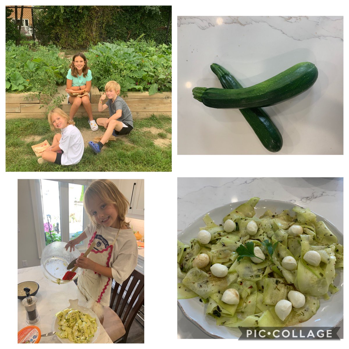 Mr. Uriarte (@mruriarte) on Twitter photo <a href="/champlaintrail/">champlaintrailps</a> with my little helpers weeding, watering and enjoying a lunch break by the garden. Harvested some zucchini and making some fresh zucchini salad for dinner. #SustainableFood #waterday <a href="/PDSB_eco/">Peel EcoSchools</a> <a href="/champlaintrail/">champlaintrailps</a> with my little helpers weeding, watering and enjoying a lunch break by the garden. Harvested some zucchini and making some fresh zucchini salad for dinner. #SustainableFood #waterday <a href="/PDSB_eco/">Peel EcoSchools</a>