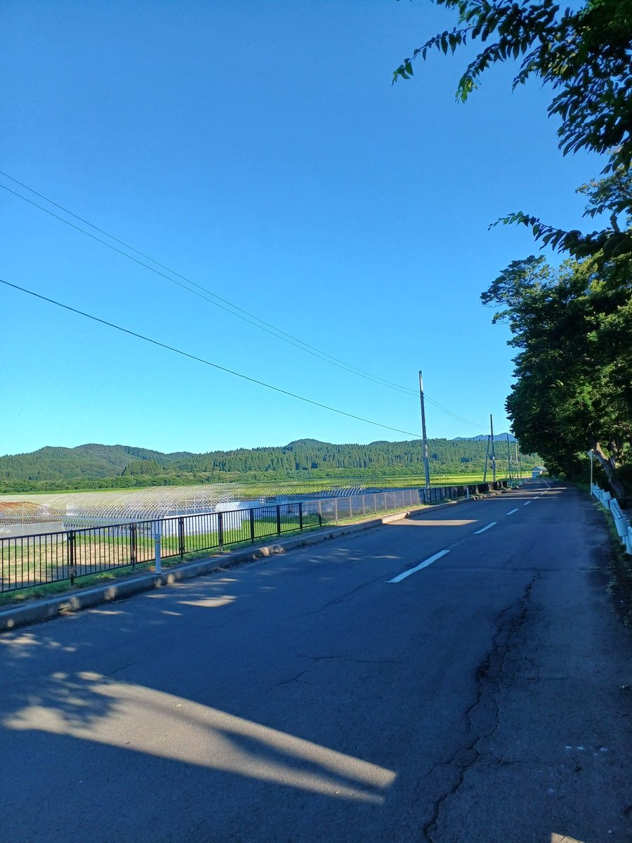 EiloEc's tweet photo. 帰省ラッシュか
田舎暮らしには縁のない世界 https://t.co/wLIta9SfCr