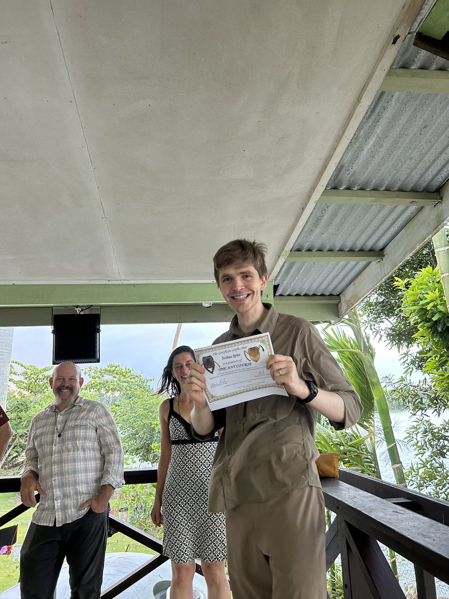 The Ants of the World Project tweet media