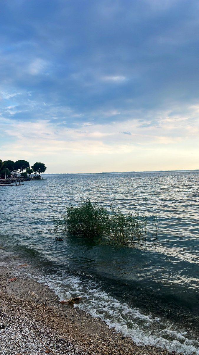 GiuliaGandelli's tweet photo. Bolzano e lago di Garda 🥨⛵️ https://t.co/3dX7FhoaLa