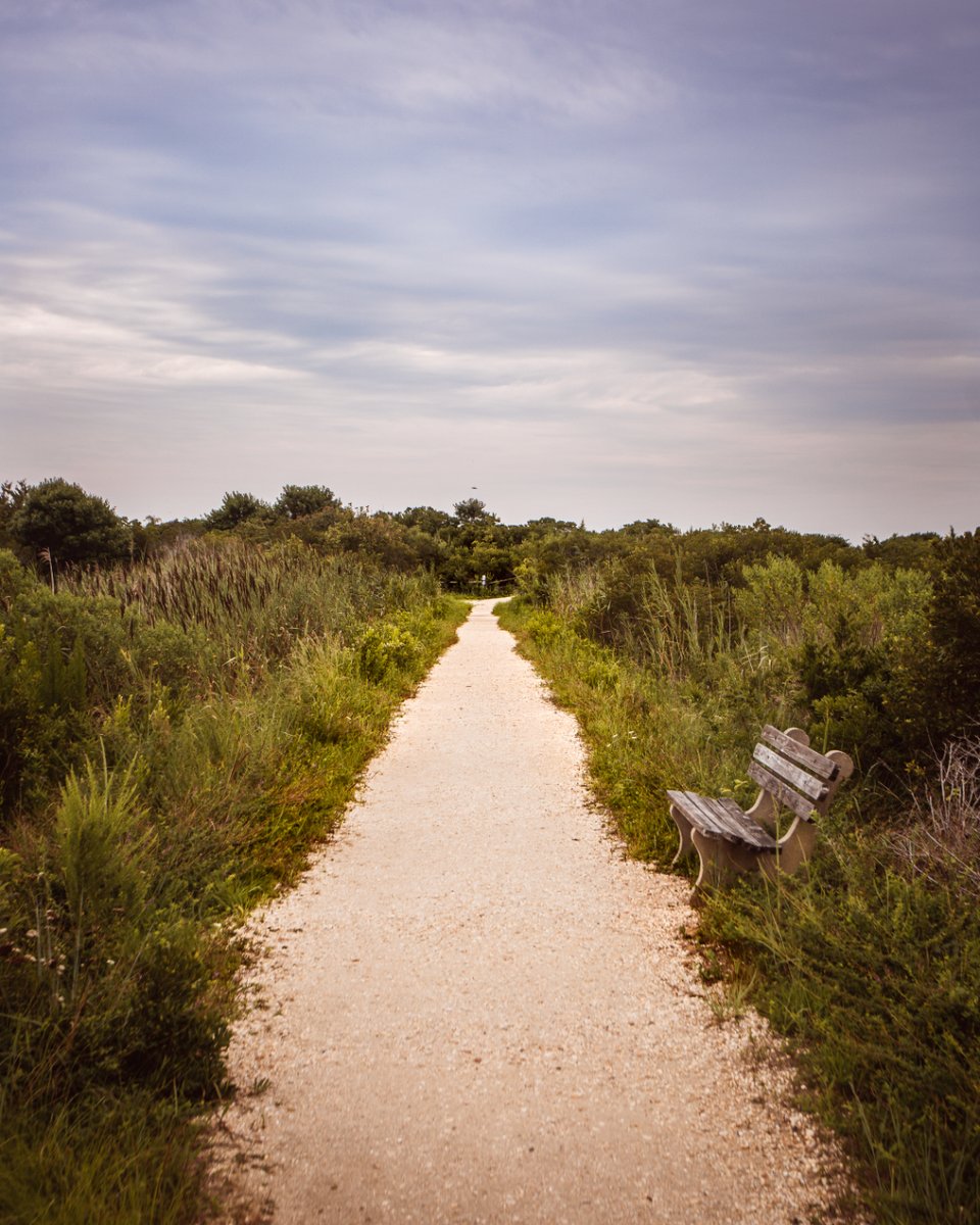 justindepascale's tweet photo. Take a walk! 

#sand #beach #walk #naturelover #explorenature https://t.co/TKJ1YXwPgM