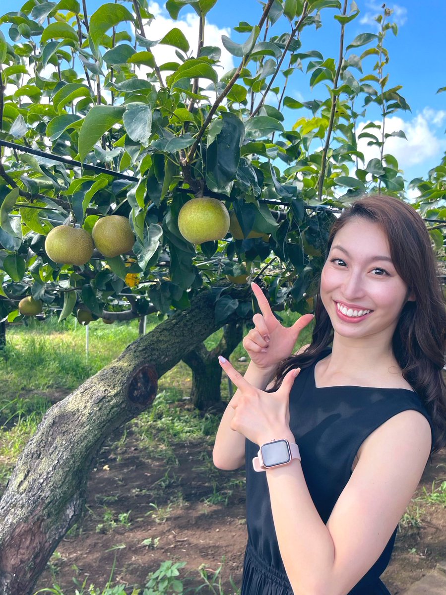 ๐๐ฒ๐_๐๐๐๐๐๐๐๐๏ผในใฟใผใธใงใใ๏ผ tweet media