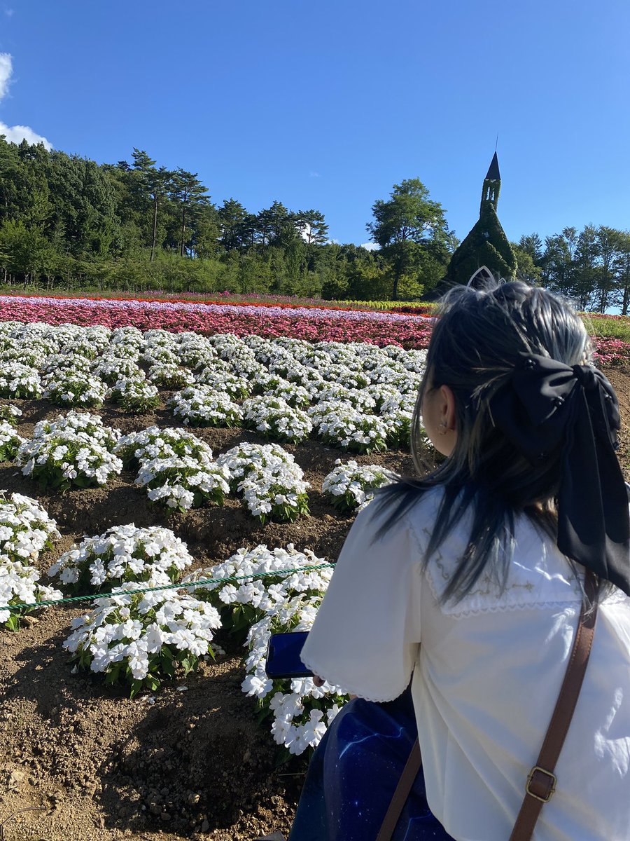 Man09Super's tweet photo. 美人には花畑がよく似合う https://t.co/uFlPKAHCT4