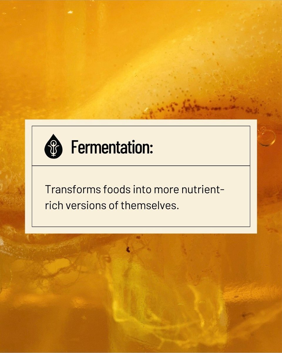 Fermentation = The ultimate glow-up. ✨

Lean Fermentation 101 livingalchemy.ca/pages/fermenta…