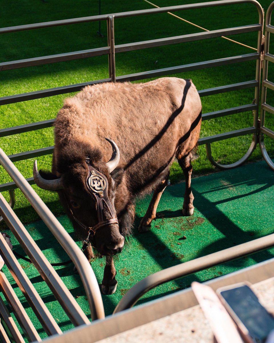 Feels good to be back in Folsom with Ralphie’s admirers. Fall is just around the corner👀