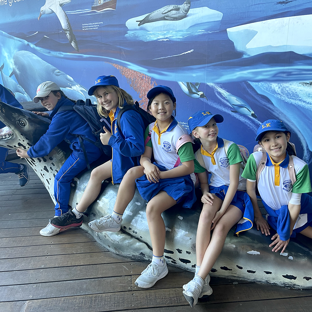 Loreto Kirribilli tweet media