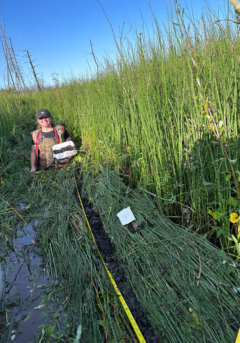 natapopovic's tweet photo. Wrapping up a couple of wet and muddy days of soil sampling boreal wetlands around Fort Mac 🦺💧 https://t.co/gPfDs7dWd3