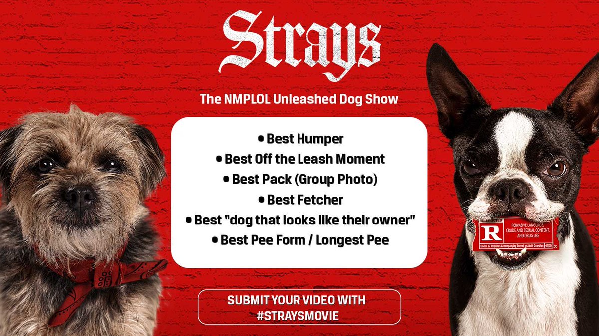 Nick Polom tweet media