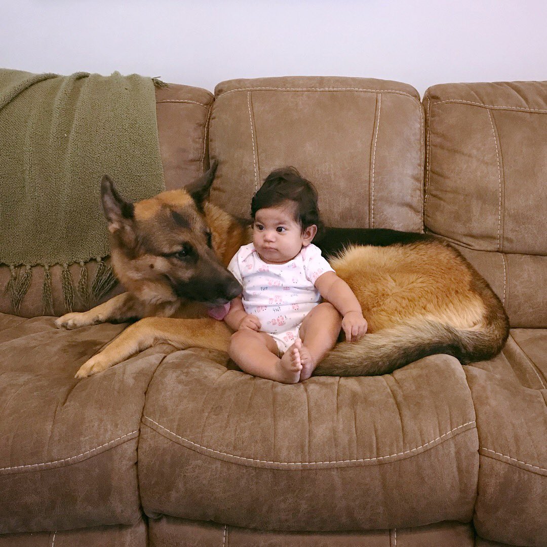 𝚂𝚝𝚊𝚌𝚎𝚢, 𝚃𝚑𝚎 𝙱𝚊𝚝 𝙵𝚕𝚒𝚙 𝙴𝚡𝚙𝚎𝚛𝚝 tweet media