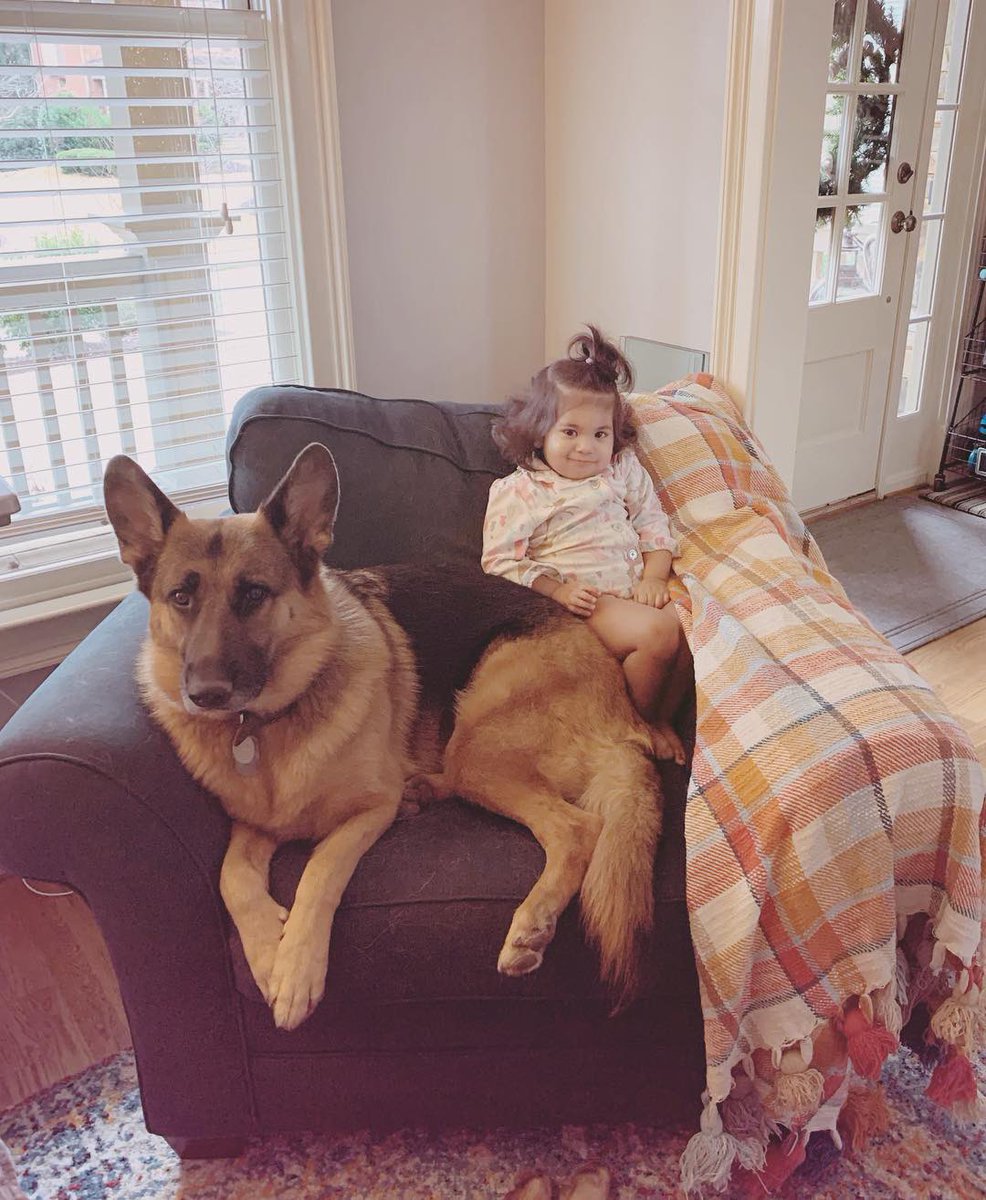 𝚂𝚝𝚊𝚌𝚎𝚢, 𝚃𝚑𝚎 𝙱𝚊𝚝 𝙵𝚕𝚒𝚙 𝙴𝚡𝚙𝚎𝚛𝚝 tweet media