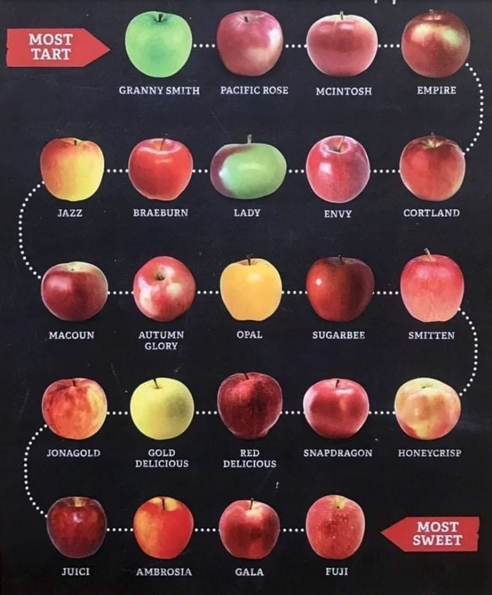 messedupfoods's tweet photo. forget zodiac signs what's your apple type https://t.co/TpnP71OtWu