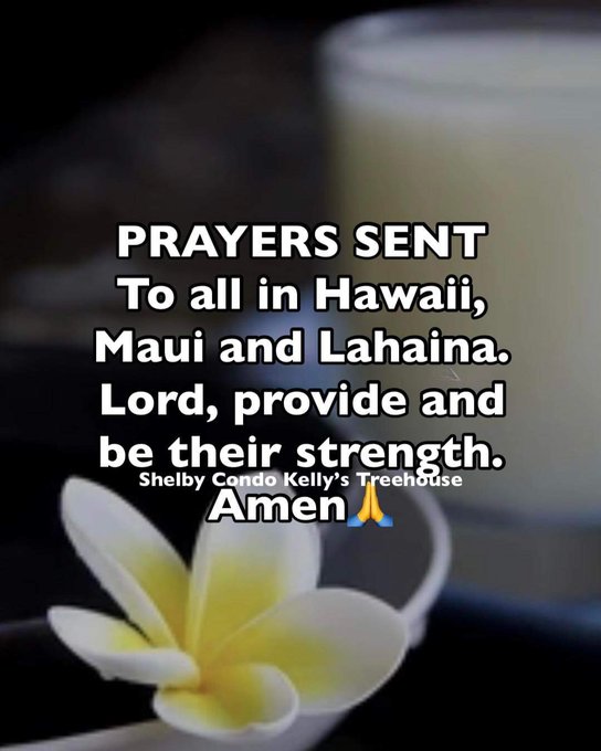 #MauiStrong https://t.co/GbjEwfkXfz<a href="/tag/mauistrong"class="tags">#MauiStrong</a>