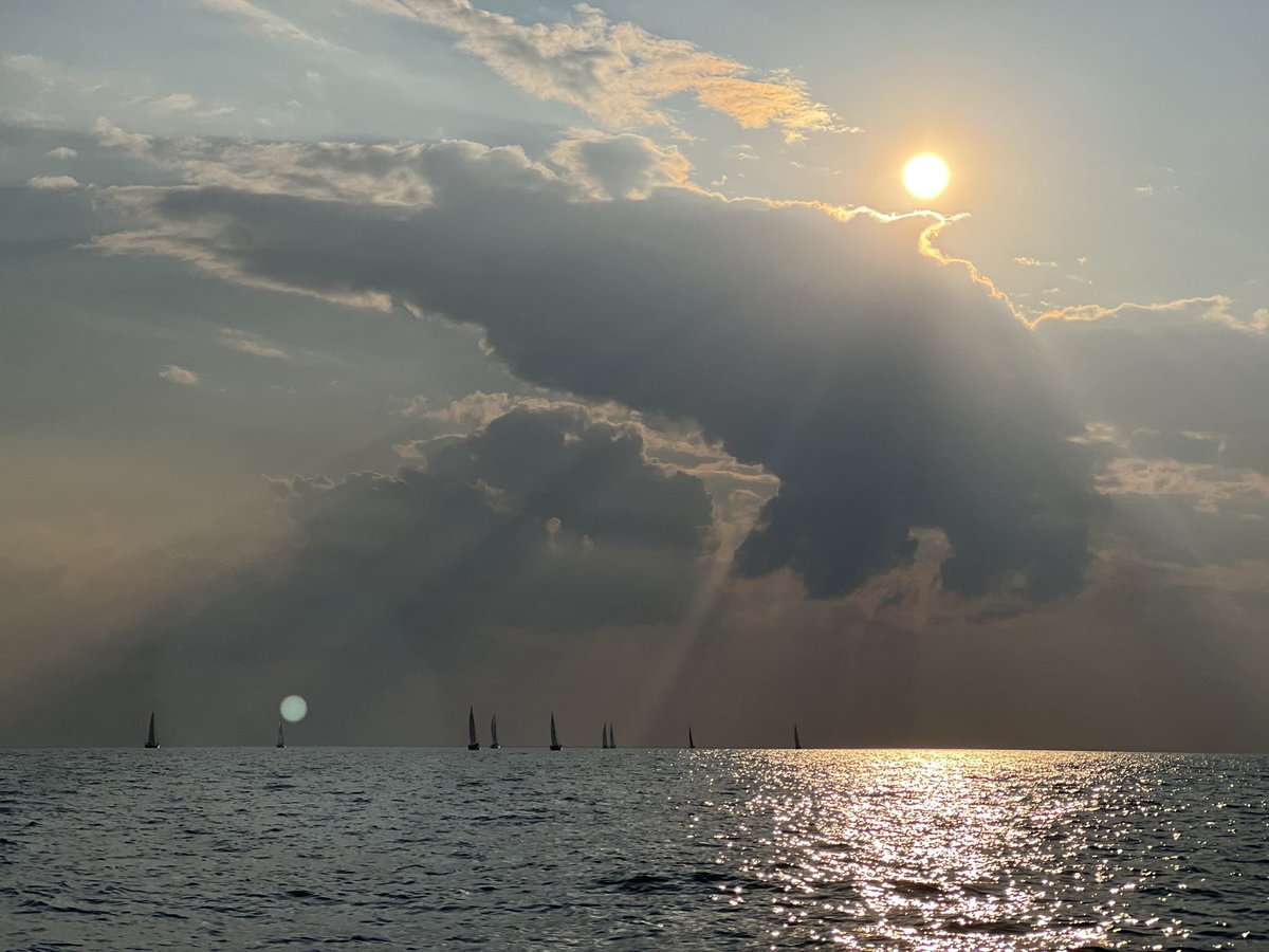 Buffalo Jill tweet media