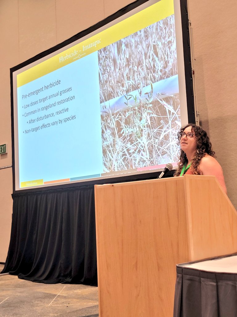 SeedyRanges's tweet photo. Great talks and attendance so far during the Aboveground Vegetation &amp; Soil Seed Bank Dynamics session here at #ESA2023! https://t.co/uCgxzNgVhe