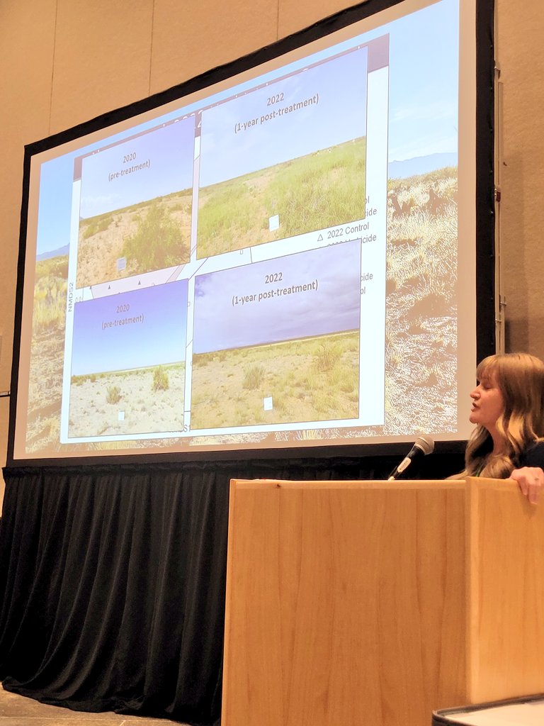 SeedyRanges's tweet photo. Great talks and attendance so far during the Aboveground Vegetation &amp; Soil Seed Bank Dynamics session here at #ESA2023! https://t.co/uCgxzNgVhe