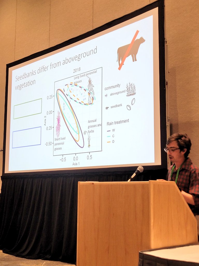 SeedyRanges's tweet photo. Great talks and attendance so far during the Aboveground Vegetation &amp; Soil Seed Bank Dynamics session here at #ESA2023! https://t.co/uCgxzNgVhe