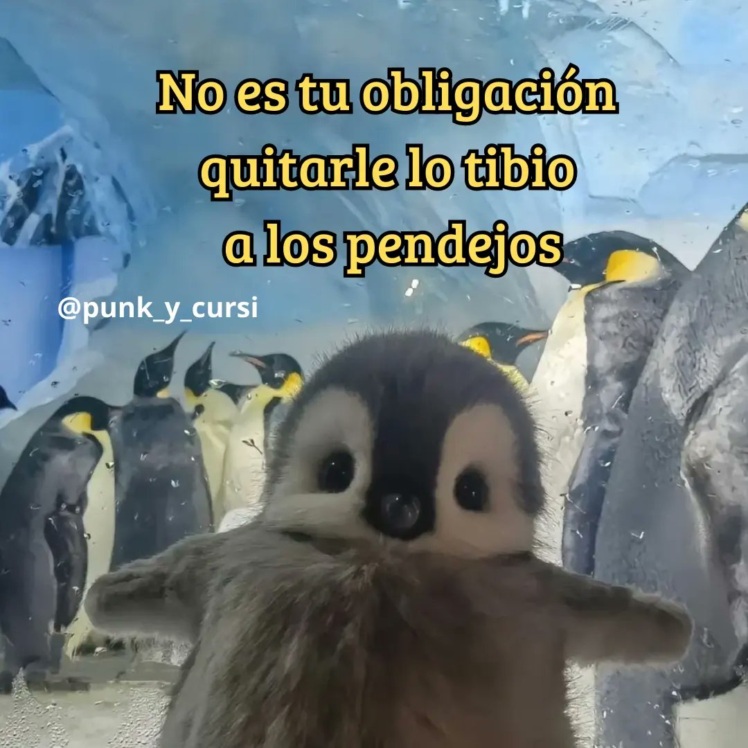 paulapaez231's tweet photo. @condobleese_ Nomás ahí te la dejo https://t.co/pftZz2LYz8